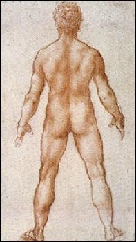 Qui a fait cette étude 'Homme nu vu de dos' ?