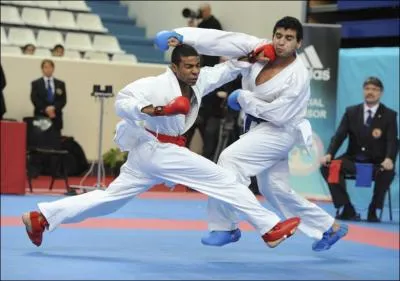 Quel sport est reprsent par cette photo ?