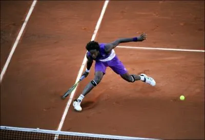 Quel est ce tennisman franais ?