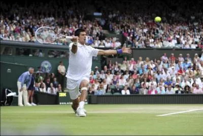 Quel tournoi du Grand Chelem reprsent par ce clich a t remport par Novak Djokovic ?