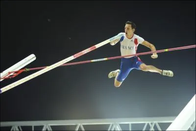 A quelle place termine Renaud Lavillenie au saut  la perche aux Championnats du Monde de Daegu ?