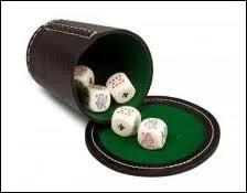 A quel type de poker ce matriel permet-il de jouer ?