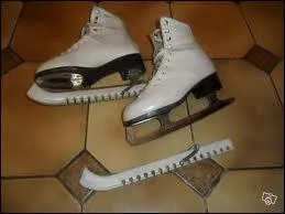 Comment s'appelle le truc coupant argent sous le patin ?