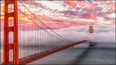 Quel chanteur n'a PAS dans son répertoire une chanson ayant dans le titre : ''San Francisco'' ?