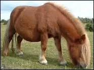 Quelle est cette couleur ?