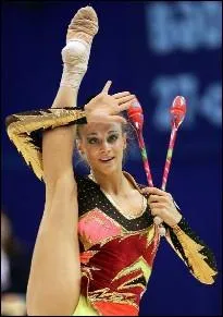 Quel est cet engin ?