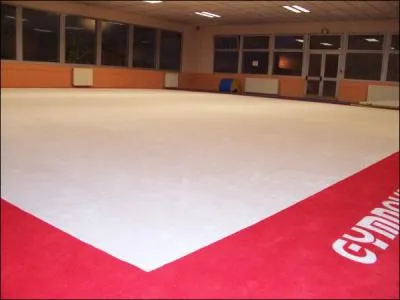 Quel nom donne-t-on  ce grand tapis ?