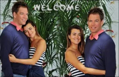 Es-ce que Tonny a dj embrass Ziva ?