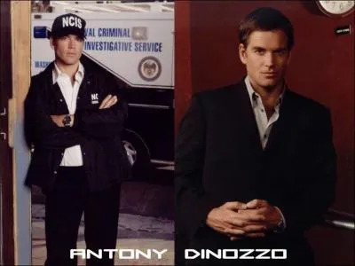 Quel acteur joue Anthony DiNozzo ?