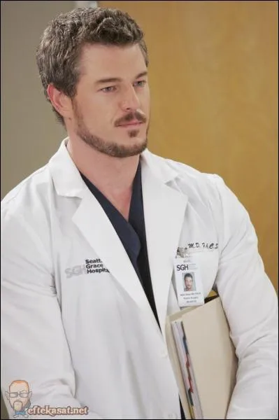 Qui interprte le rle de Mark Sloan ?
