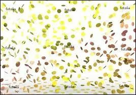 A quel chocolat vous fait penser cette ambiance de fte ?