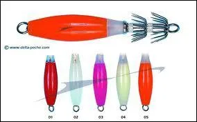 Cet engin a un rapport certain avec un calmar ou une seiche !