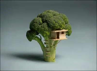 On a tous rv d'une cabane dans un ...