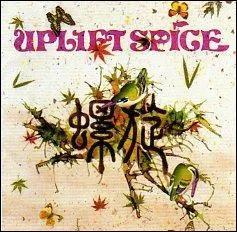 Quelle chanson ont-ils fait ?