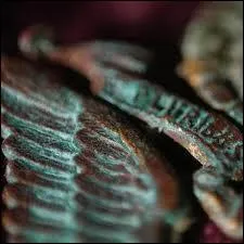 Qu'est ce que le vert de gris ?