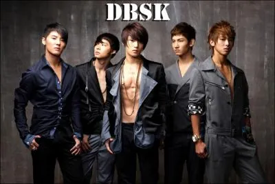 Quand ont-ils fait leusr dbuts ?