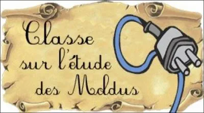 Comment dit-on un 'Moldu' ?