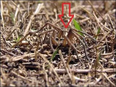 Et  la fin de l'envoi, je touche !