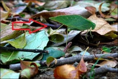 Une petite pause ? Allez, je fais un geste !