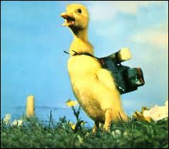 Comment s'appelle ce canard vedette de la télévision des années 60 ?
