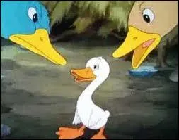 Pourquoi le vilain petit canard est-il si diffrent de ses frres et soeurs ?