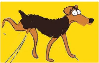 Qu'est-ce qui pue le pipi et fait six mètres de long ?