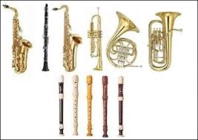 Quel instrument à vent possède une corde ?