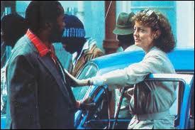 D'après le roman d'André Brink, Prix Médicis étranger en 1980, un film d'Euzhan Palcy (1989) sur la lutte contre l'apartheid en Afrique du Sud.