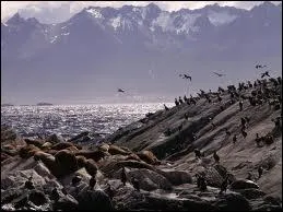 Reconnaissez-vous ces vers : 'Ainsi toujours pousss par de nouveaux rivages, dans la nuit ternelle emports sans retour, ne pourrons-nous jamais sur l'ocan des ges jeter l'ancre un seul jour ? ' ?