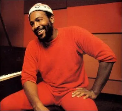Comment est mort Marvin Gaye ?
