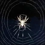 En quelle matire est faite une toile d'araigne ?