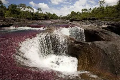 Vous tes perdu en fort, que devez-vous faire pour retrouver un endroit habit ?