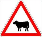 Quand quelqu'un est 'vache', on peut aussi dire que c'est...