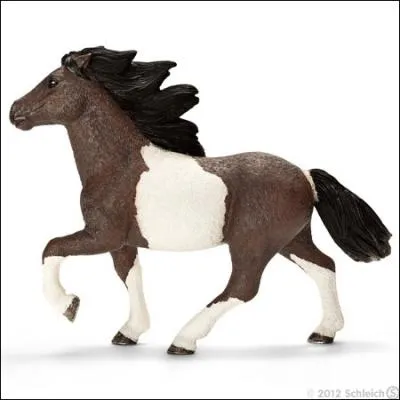 Quel est le sexe de ce cheval ?