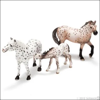 De quelle race est cette famille de chevau ?