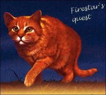 Qui sera la mre de ses filles ?