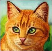 Quel est son premier amour ?