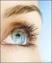 Que signifie 'avoir quelque chose  l'oeil' ?