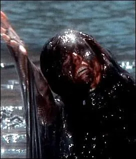 Dans quel 'Creepshow' retrouve-t-on l'adaptation de la nouvelle 'Le Radeau' de Stephen King, dans laquelle des tudiants se font attraper et dissoudre par une tache noire au plein milieu d'un lac ?