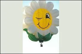 Si NWT continue  vous poser des questions difficiles :