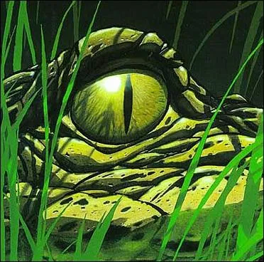 Quel est le titre de cet album du Tueur ?