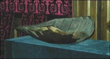 L'un des Rois de France a dormi dans son berceau compos d'une carapace entire de tortue, cadeau de ses grands-parents. Qui est-il ?