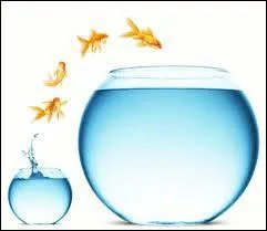 Lorsque le poisson grandit, ses cailles ?