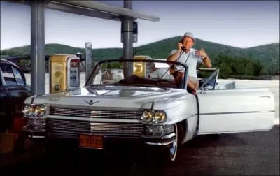 L'amricaine du ' Corniaud' est une :