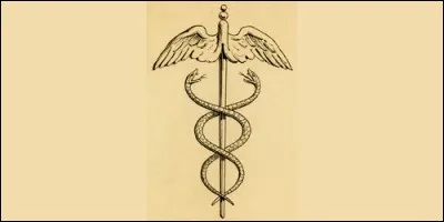 À la fin des études et avant d'éxercer, un médecin doit prêter serment. Comment s'appelle ce serment ?