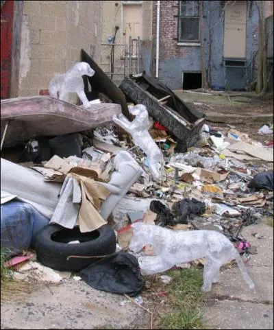 Dans ce pays, on les fouille pour survivre !