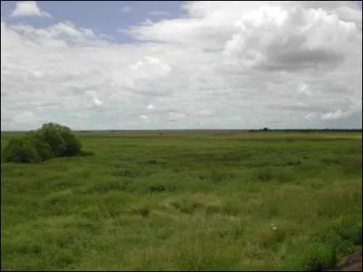 La compagnie s'est arrte :