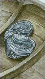 Sam a eu de la Lorien :