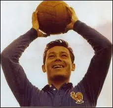 Quel record de but Just Fontaine a-t-il marqu pendant la coupe du monde de 1958 ?
