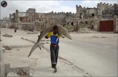 D'o vient cette photo ?